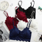 Women Push Up Lace Tube Tops Padded Bras - The Discount Market